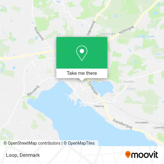 Loop map