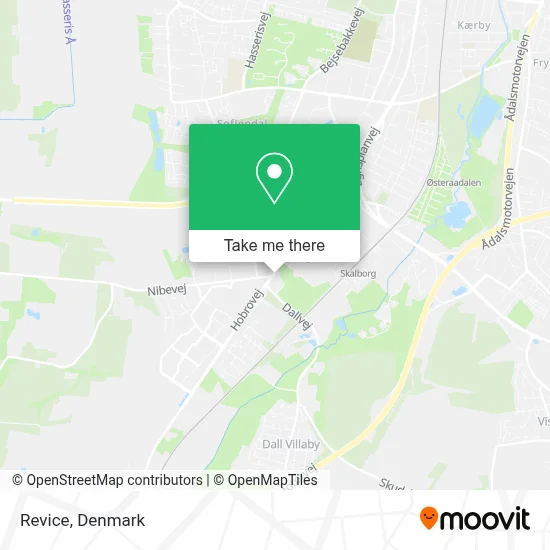 Revice map