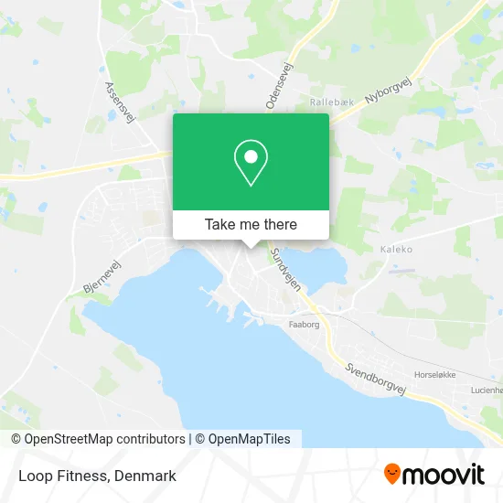 Loop Fitness map