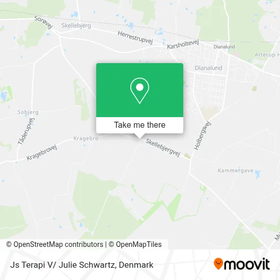 Js Terapi V/ Julie Schwartz map