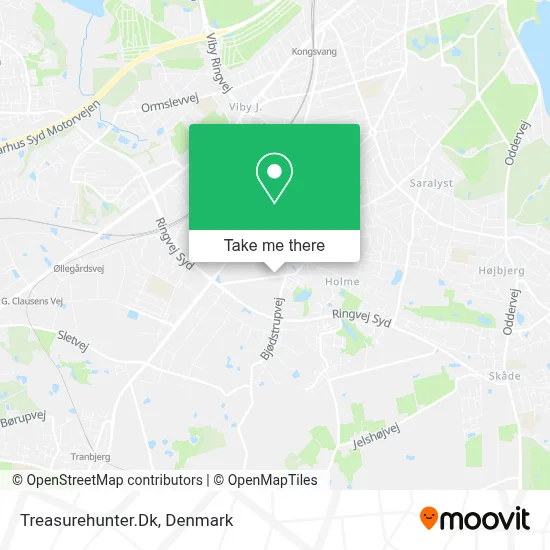 Treasurehunter.Dk map