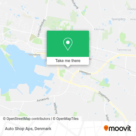 Auto Shop Aps map