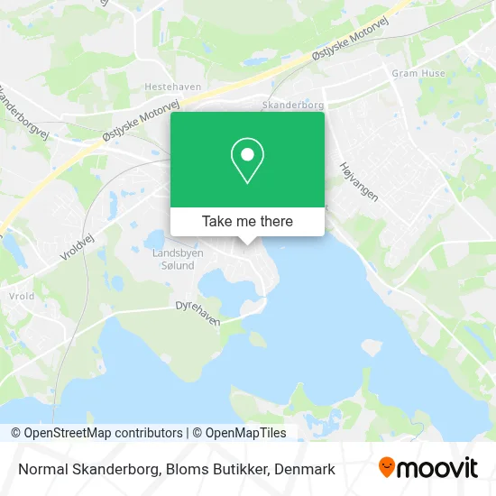 Normal Skanderborg, Bloms Butikker map