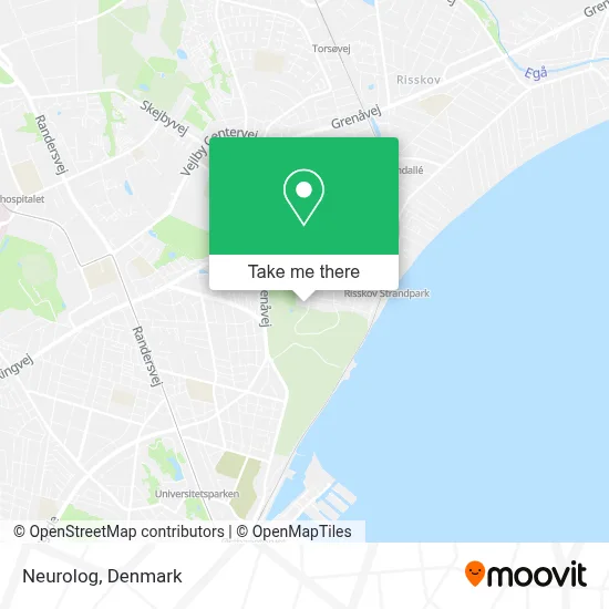 Neurolog map