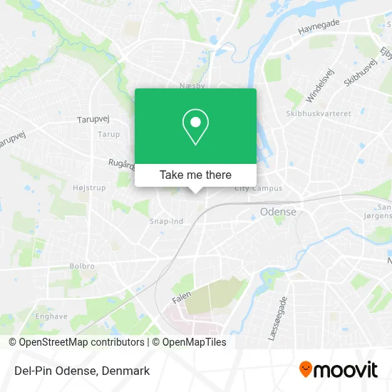Del-Pin Odense map