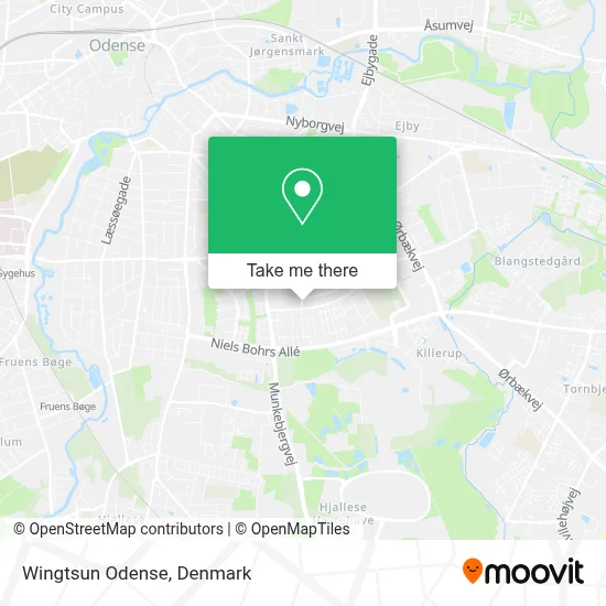 Wingtsun Odense map