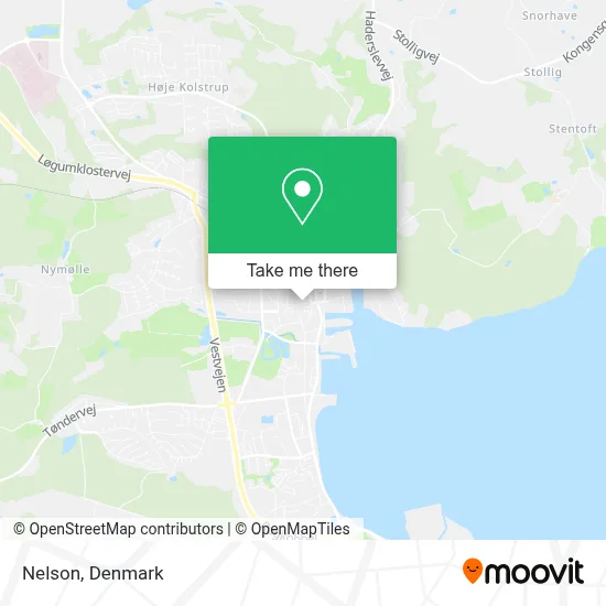 Nelson map