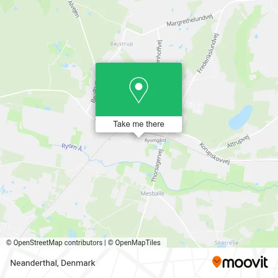 Neanderthal map