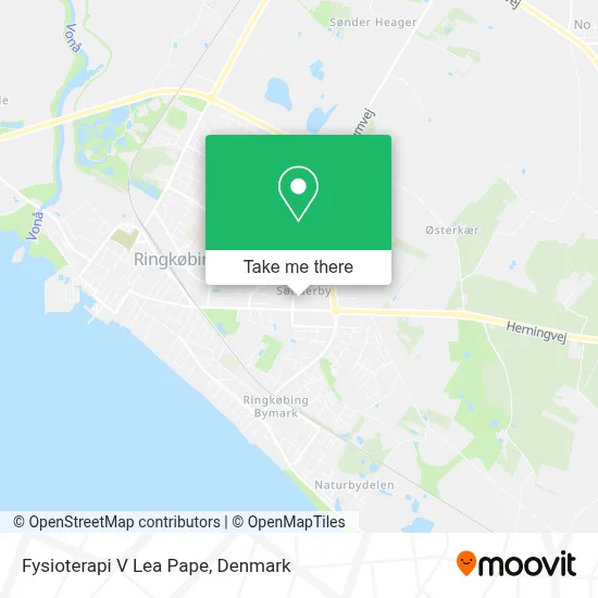 Fysioterapi V Lea Pape map