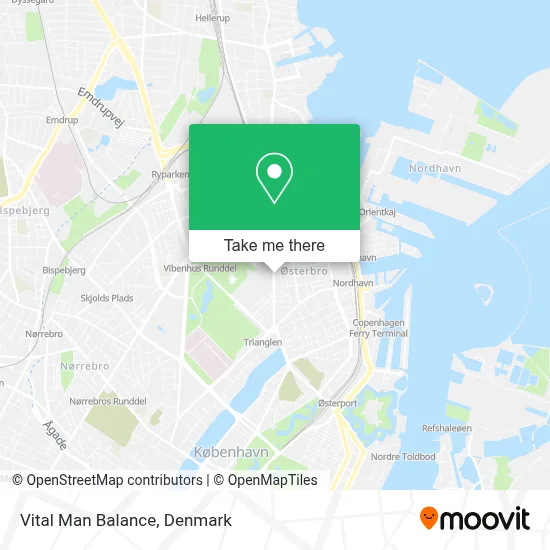Vital Man Balance map