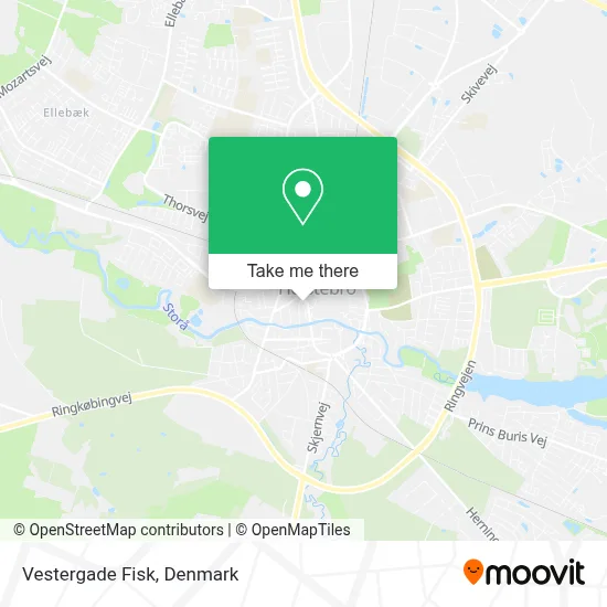 Vestergade Fisk map