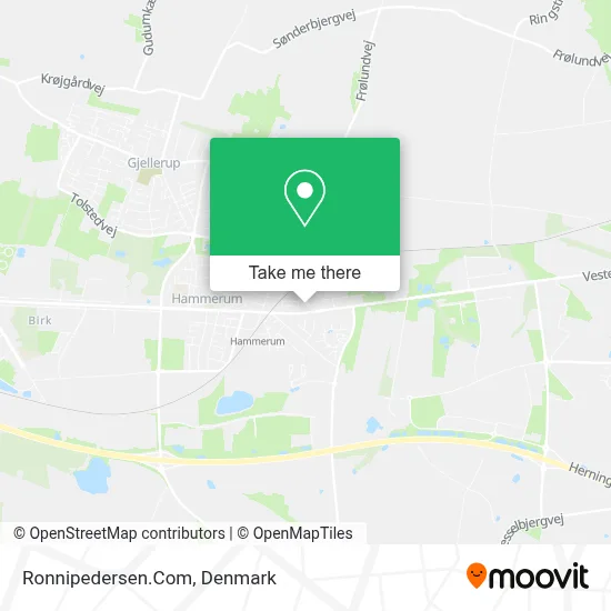 Ronnipedersen.Com map