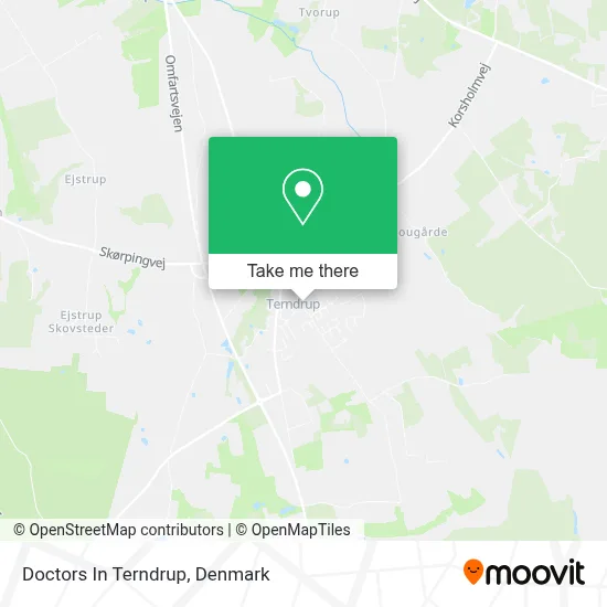 Doctors In Terndrup map