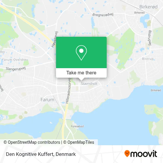 Den Kognitive Kuffert map