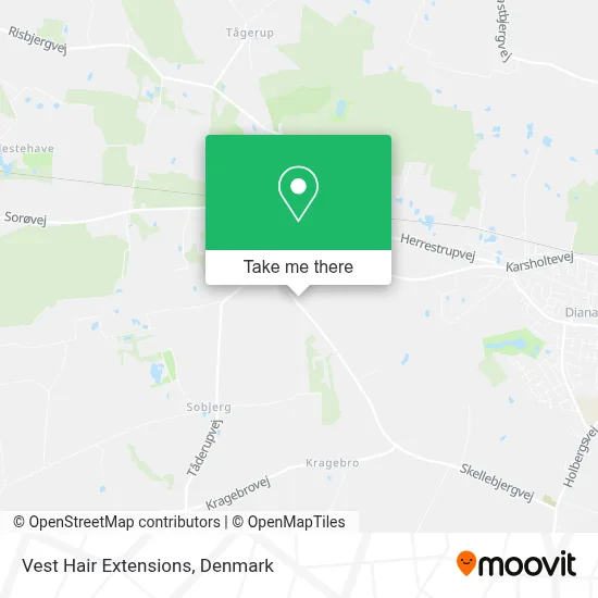 Vest Hair Extensions map