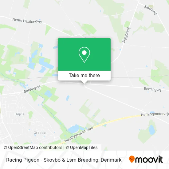 Racing Pigeon - Skovbo & Lsm Breeding map
