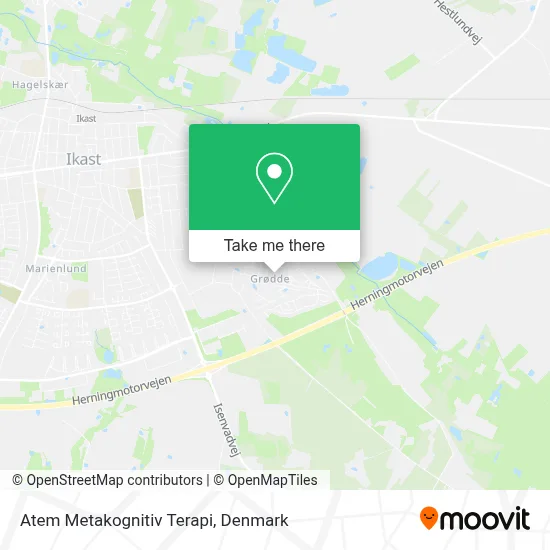 Atem Metakognitiv Terapi map