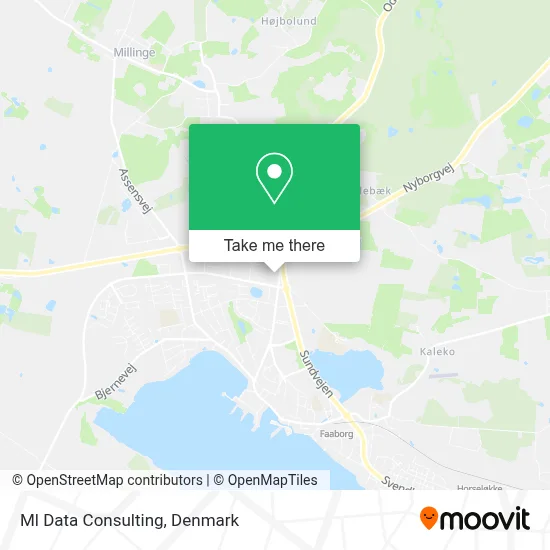 Ml Data Consulting map