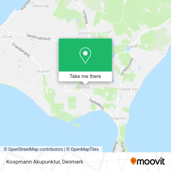 Koopmann Akupunktur map
