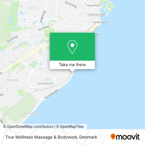 True Wellness Massage & Bodywork map