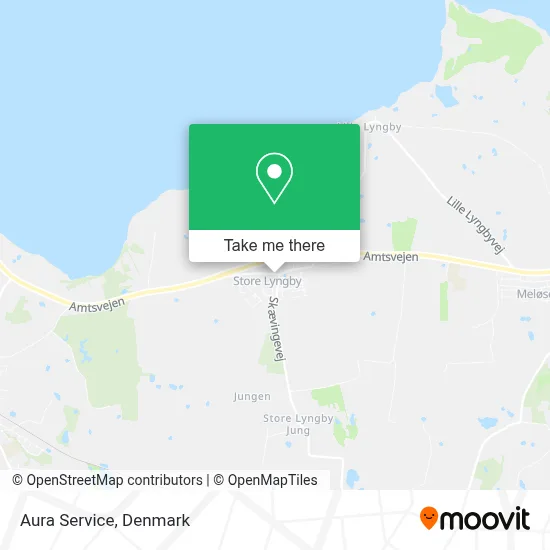 Aura Service map