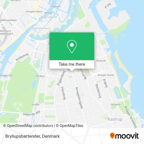 Bryllupsbartender map