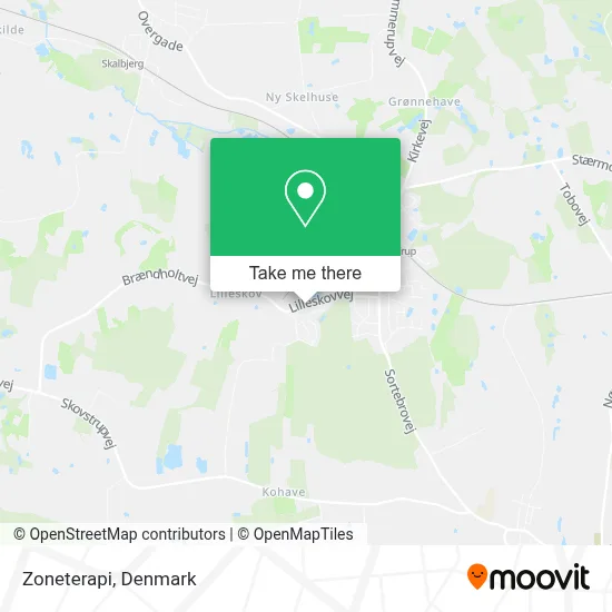 Zoneterapi map
