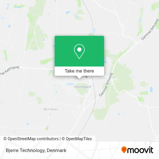 Bjerre Technology map