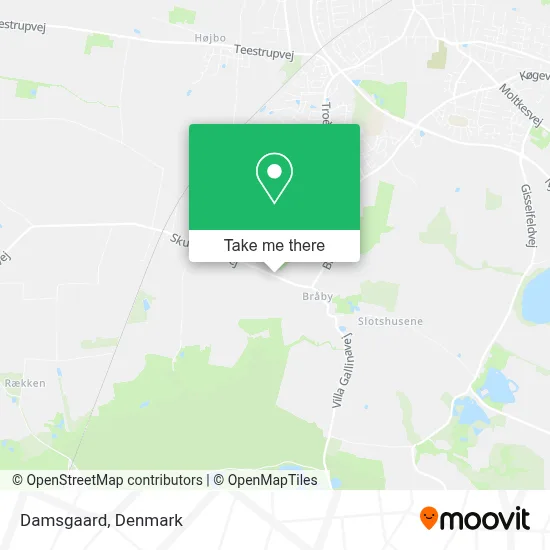 Damsgaard map