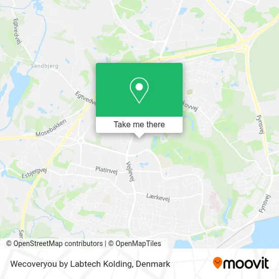 Wecoveryou by Labtech Kolding map