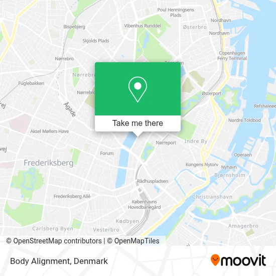 Body Alignment map