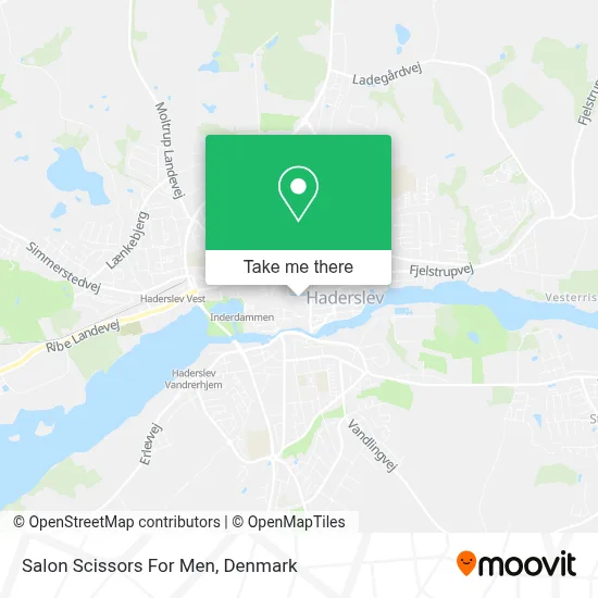 Salon Scissors For Men map