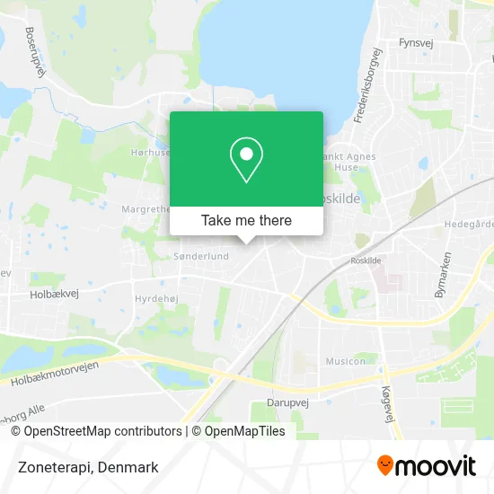 Zoneterapi map