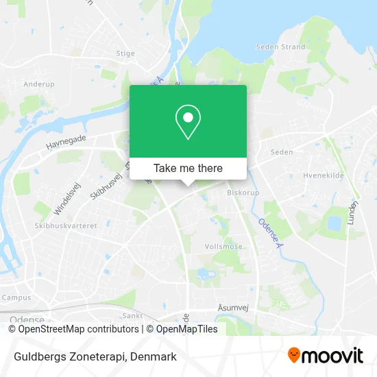 Guldbergs Zoneterapi map