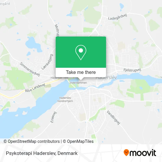 Psykoterapi Haderslev map