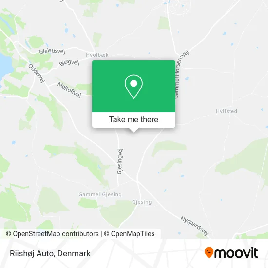 Riishøj Auto map