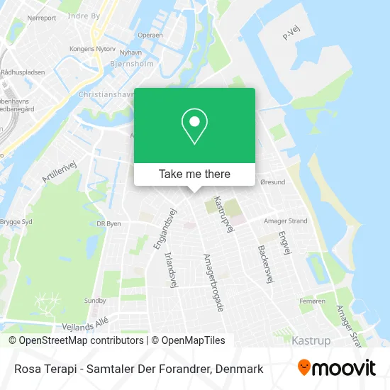 Rosa Terapi - Samtaler Der Forandrer map