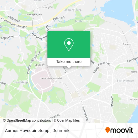 Aarhus Hovedpineterapi map