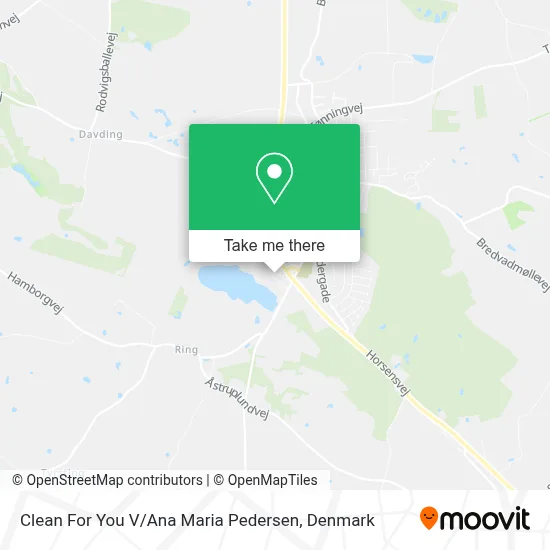 Clean For You V / Ana Maria Pedersen map