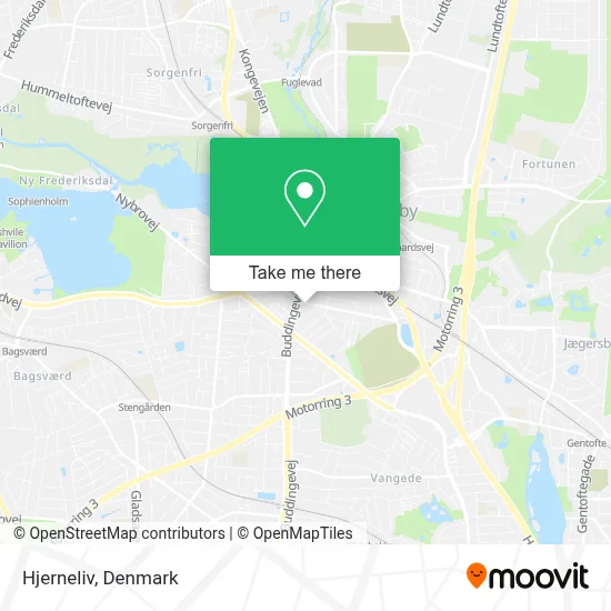Hjerneliv map
