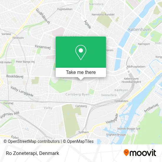 Ro Zoneterapi map
