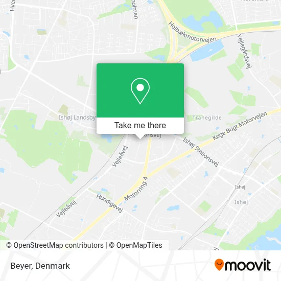 Beyer map