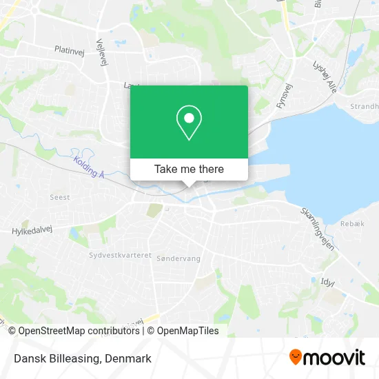 Dansk Billeasing map