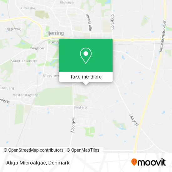 Aliga Microalgae map