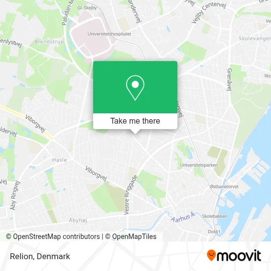Relion map