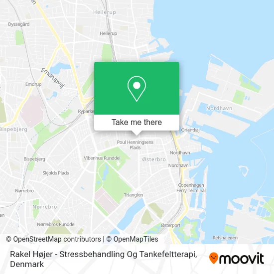 Rakel Højer - Stressbehandling Og Tankefeltterapi map