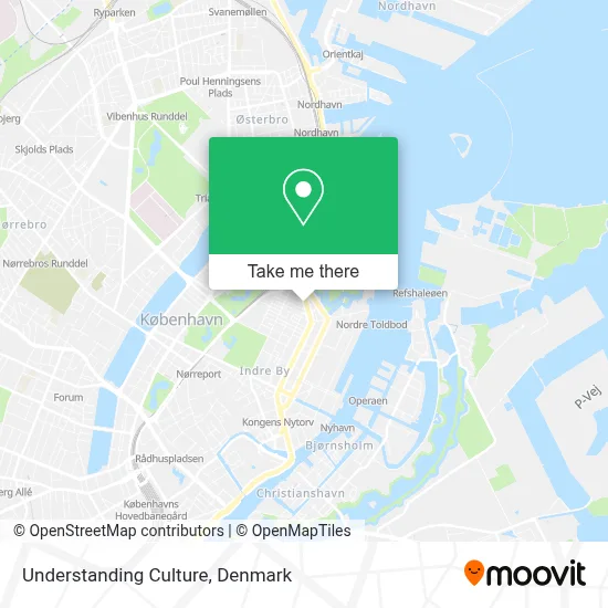 Understanding Culture map