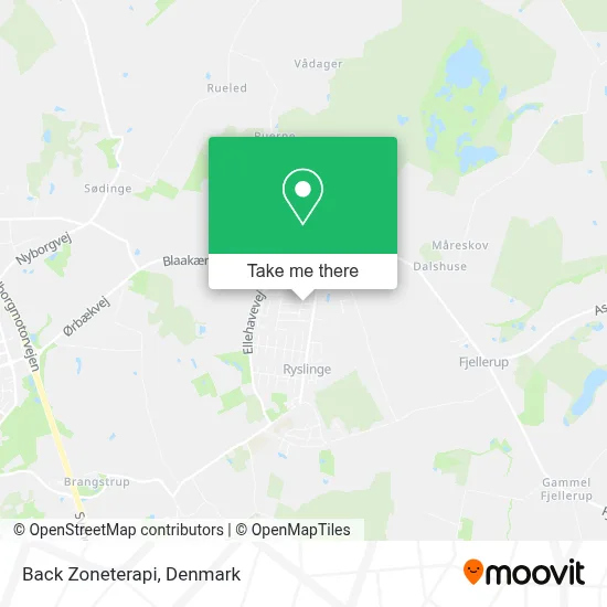 Back Zoneterapi map