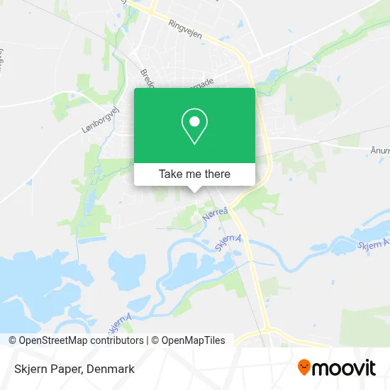 Skjern Paper map
