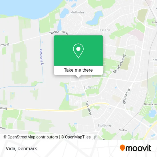 Vida map